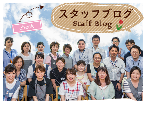 スタッフブログ